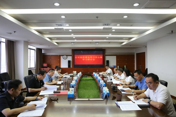 尊龙凯时人生就是搏公司党组理论进建中心组发展主题教育第四次集中进建钻研