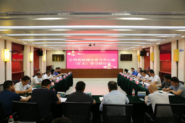 尊龙凯时人生就是搏公司党组理论进建中心组发展主题教育第五次集中进建钻研