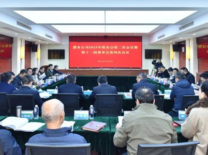 尊龙凯时人生就是搏公司召开2025年股东会第二次会议暨第十一届董事会第四次会议
