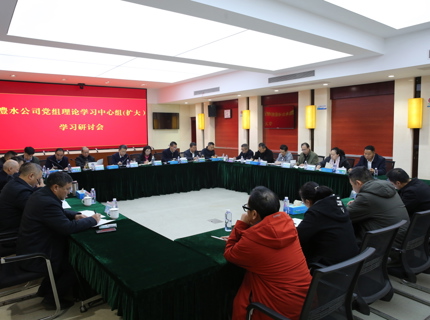 尊龙凯时人生就是搏公司党组召开理论进建中心组（扩大）进建钻研会