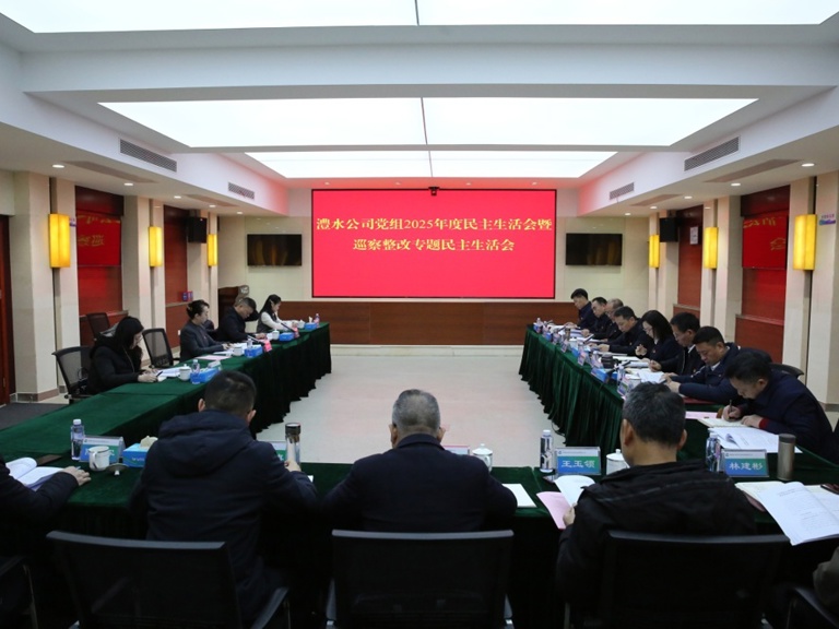任红梅领导尊龙凯时人生就是搏公司党组2025年度民主生涯会暨巡察整改专题民主生涯会