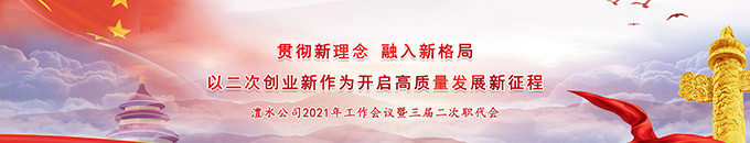 尊龙凯时人生就是搏公司2021年工作会议